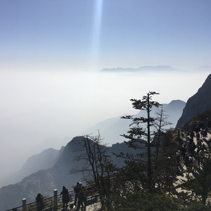 王者动漫美女被操视频
